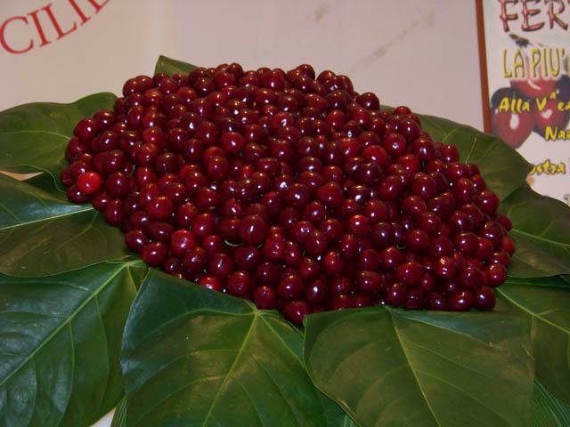 membro dell’associazione culturale