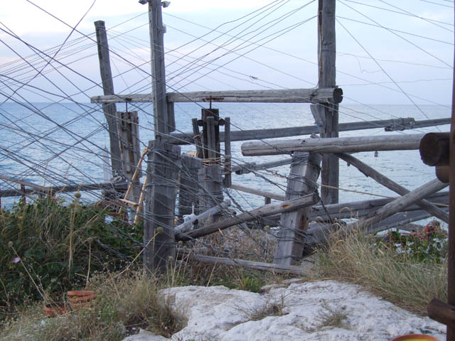 depauperamento del mare